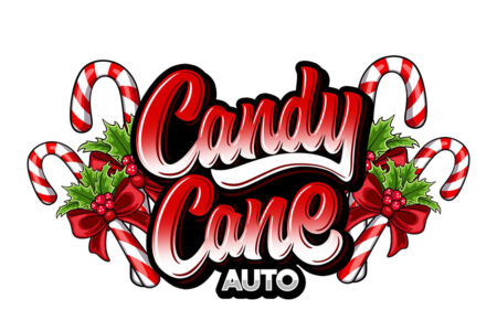 Candy Cane Auto-Flower Feminized Seeds
