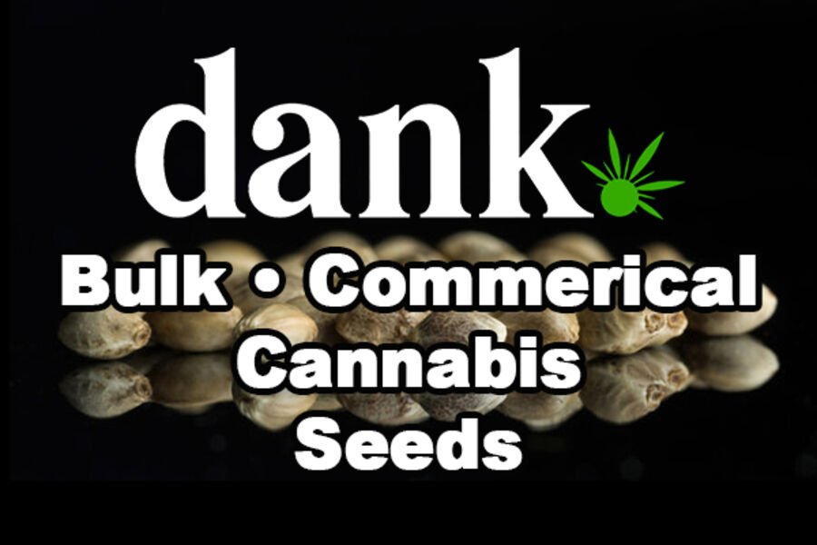 Dank Seeds Bulk Commercial Genetics