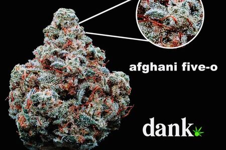 Afghani Five-O 3.0