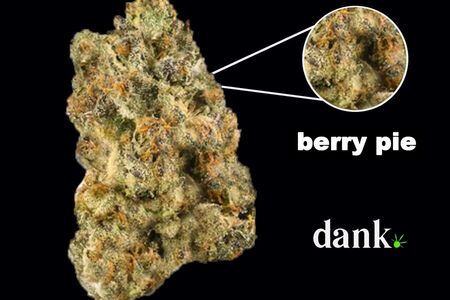 Berry Pie