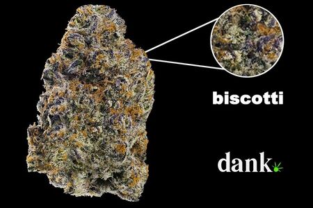 Biscotti