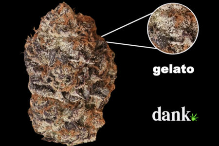 Gelato