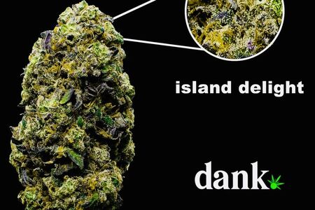 Island Delight 3.0