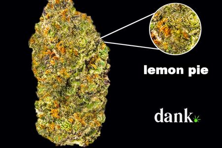 Lemon Pie
