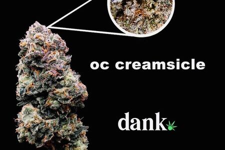 OC Creamsicle 2.0
