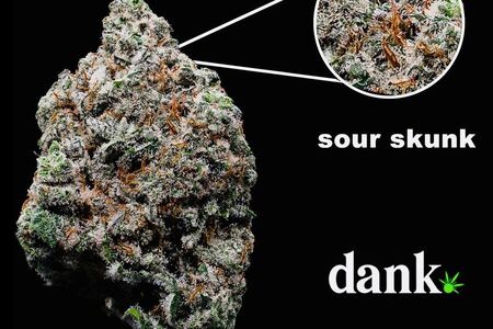 Sour Skunk 3.0
