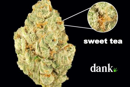 Sweet Tea