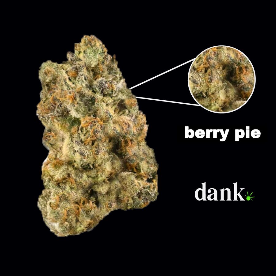 Berry Pie Feminized Seed • NEW 2023 Line