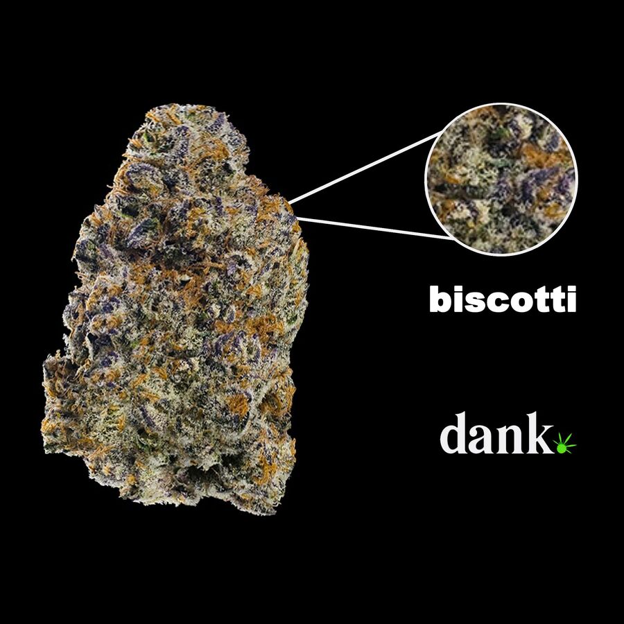 Biscotti | Cannabis Seed For Sale | Buy Marijuana Seeds