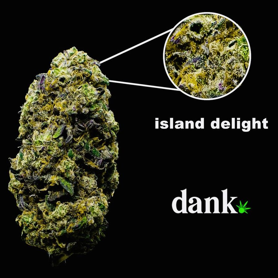 Island Delight 2.0 • NEW Re-Release!