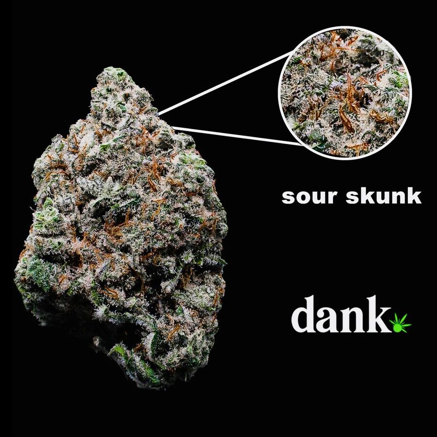 Sour Skunk 2.0 • BULK