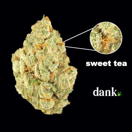 Sweet Tea Feminized Seed • BULK