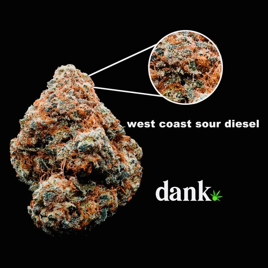 West Coast Sour Diesel • SOLD OUT