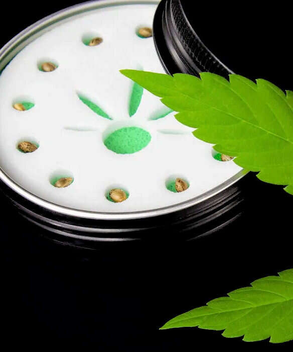 Dank Seeds - Weed Seeds for Sale